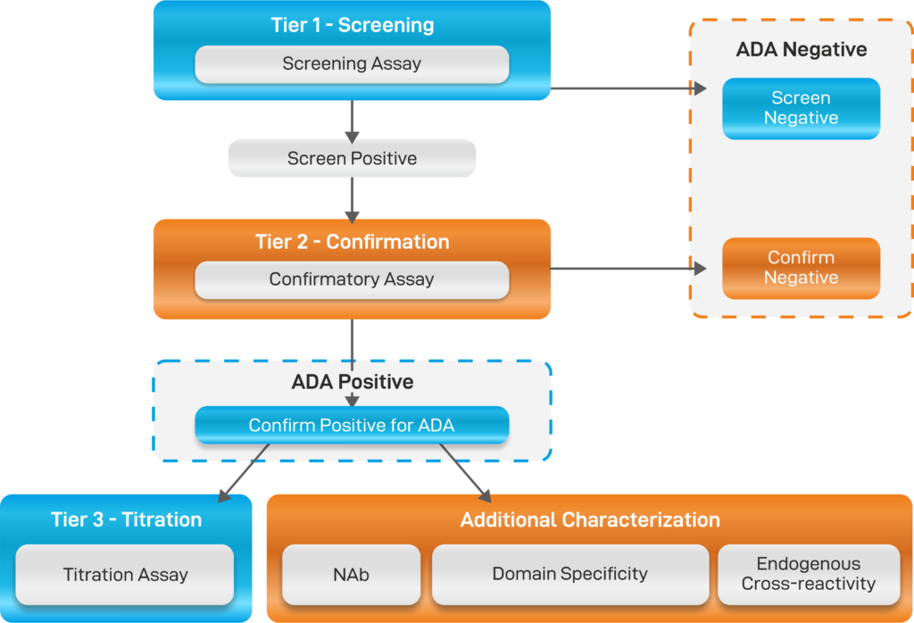 Teriparatide Bioanalysis Package