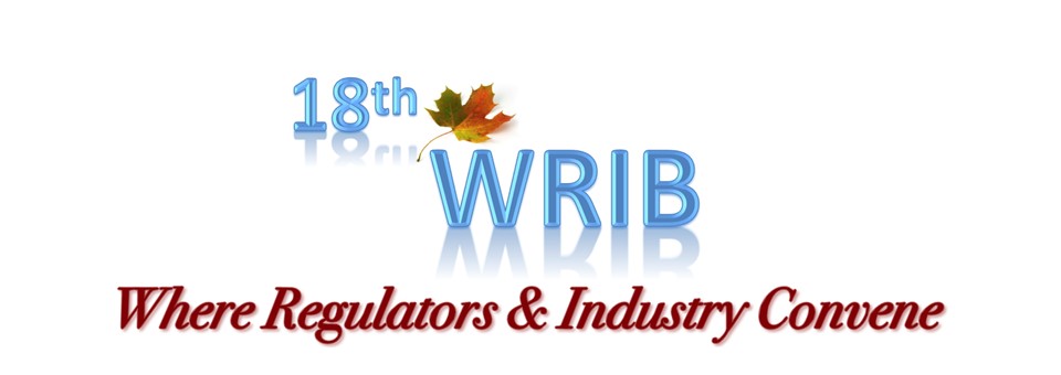 WRIB 2024 logo
