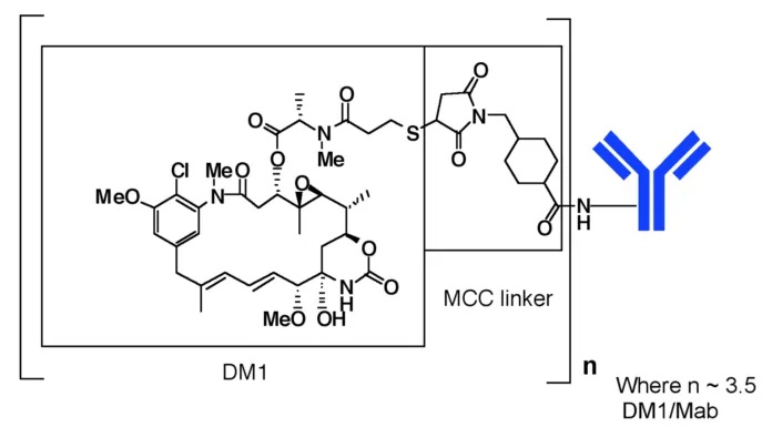trastuzumab emtansine T-DM1