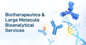 Biotherapeutics & Large Molecule Bioanalytical Services