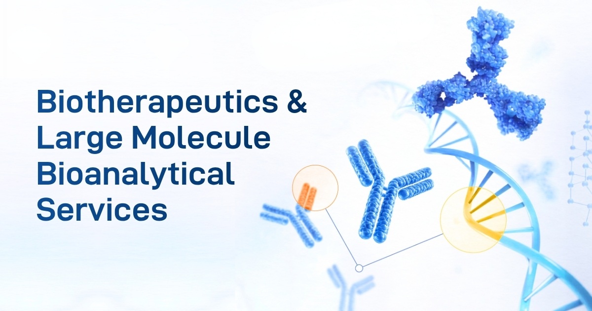 Read more about the article Biotherapeutics & Large Molecule Bioanalytical Services